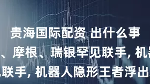 贵海国际配资 出什么事了? 高盛、摩根、瑞银罕见联手, 机器人隐形王者浮出水面